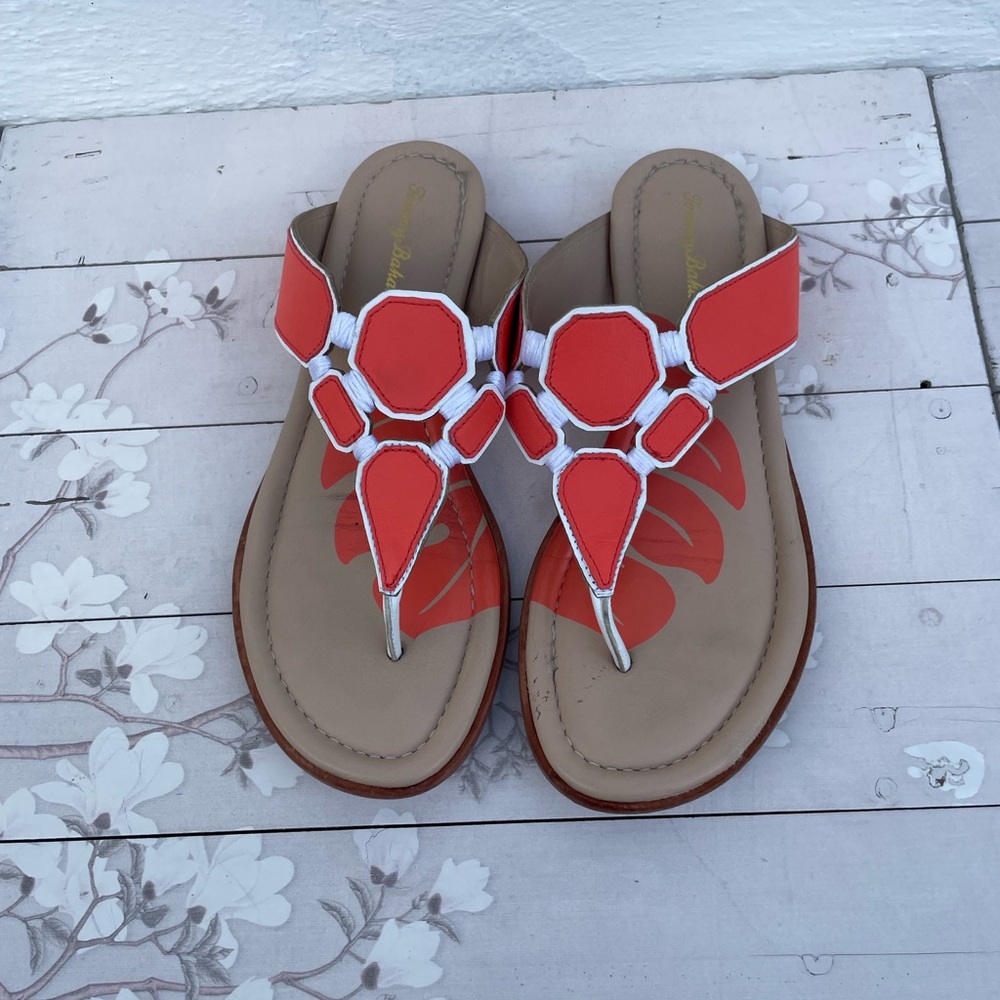 Sandals for Women tommy bahamas
